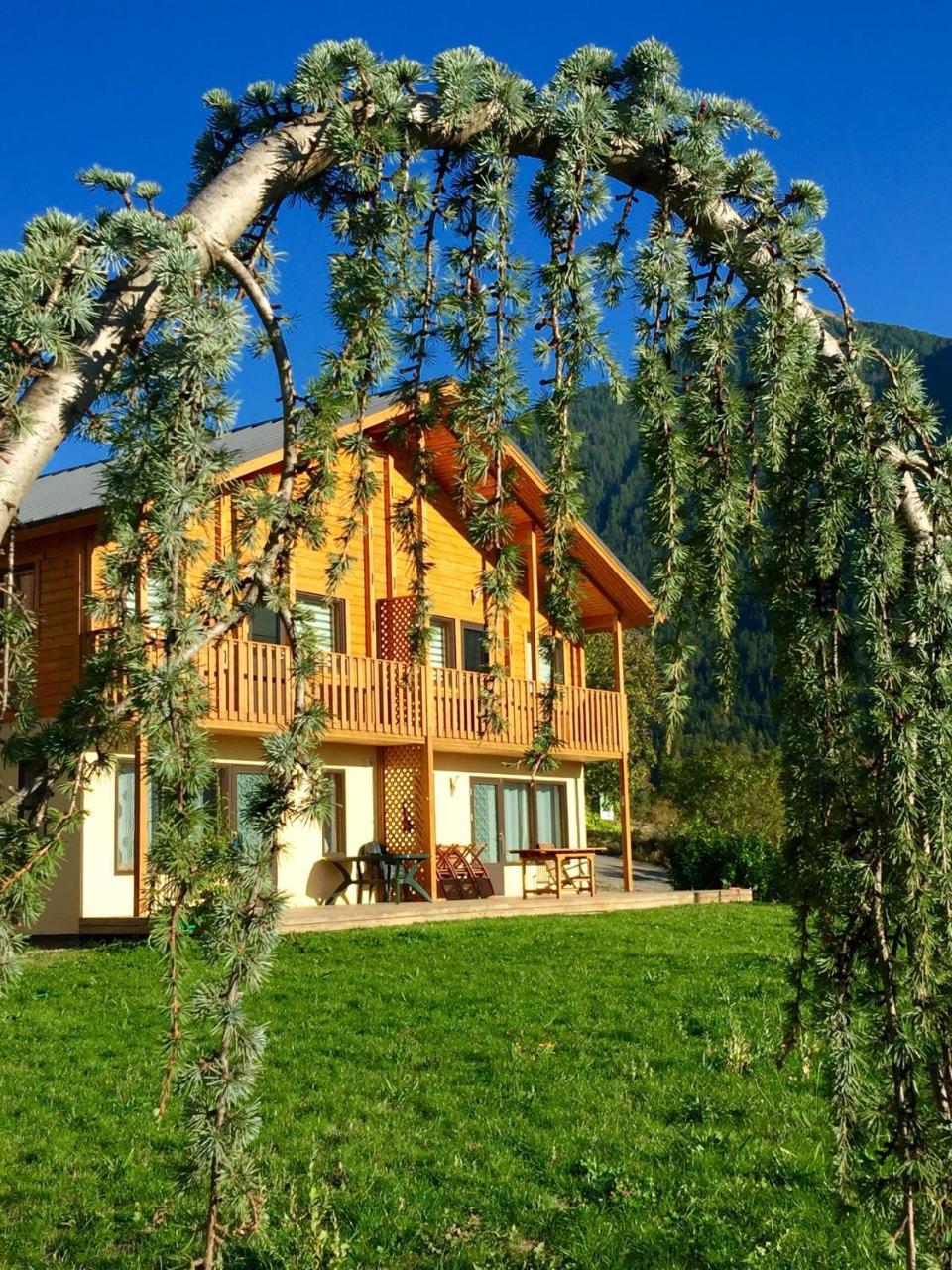 Les Chalets Fleurs De France - Kota Saint-Dalmas Εξωτερικό φωτογραφία