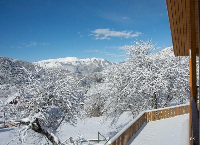 Les Chalets Fleurs De France - Kota Saint-Dalmas Εξωτερικό φωτογραφία